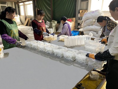 plastic manufacturer moulded small quantity001 plastic manufacturer moulded small quantity001